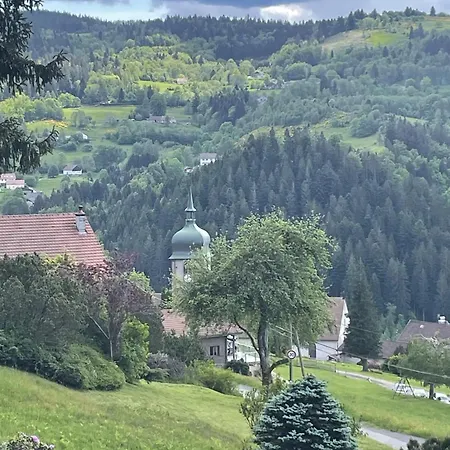 Chaleureux Avec Balcon Au Tholy 31 M² Vue Montagne *