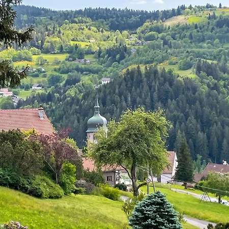 Apartamento Accueillant Aux Tholy 31 M² Vue Montagne *